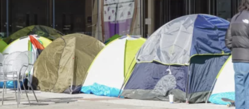 NYU: Students Set Up Camp to Support Palestine, Get Arrested